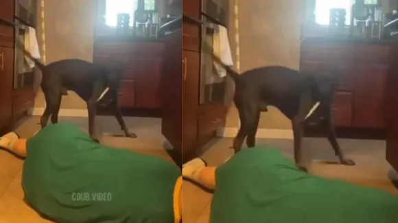 viral video