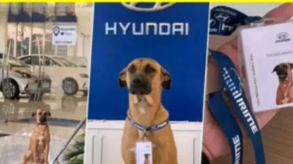 viral dog news