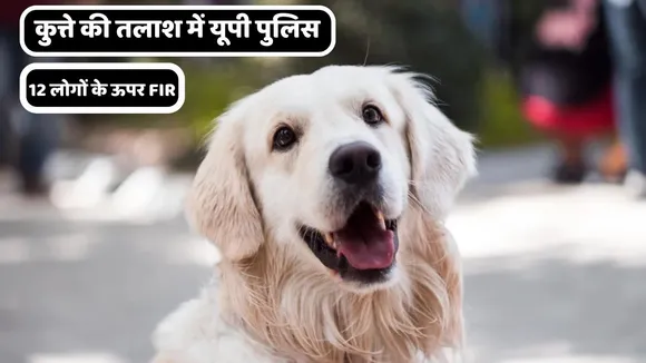 UP police in search of dog