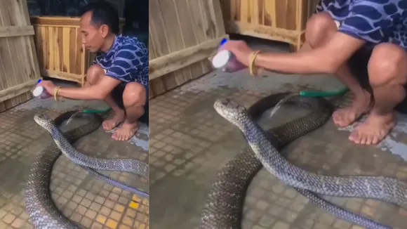 viral video