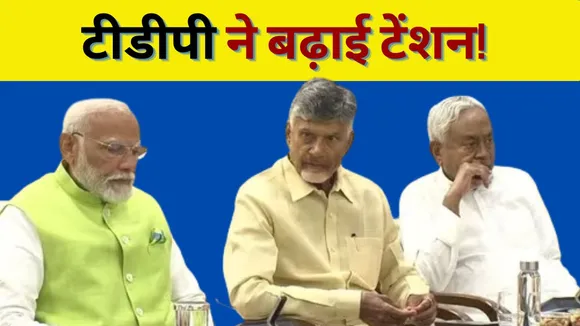 What is TDP Demand Before NDA Govt Form
