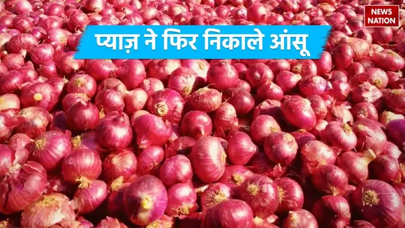 onion price