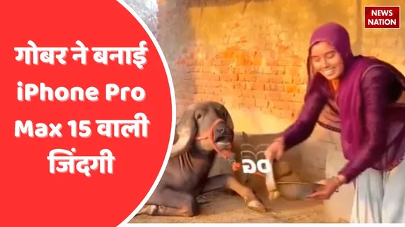 viral video