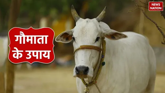 gau mata ke upay
