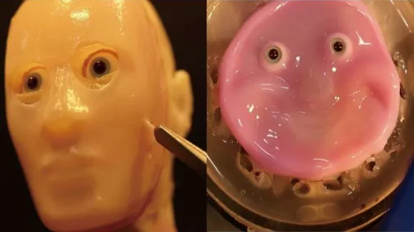 Japanese smiling robot