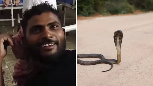 snake bite man