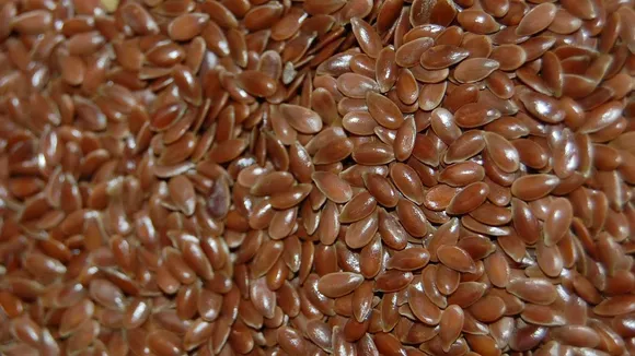 home made hair Conditioner