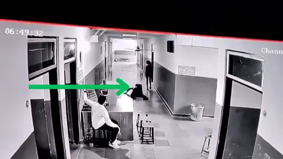 viral video
