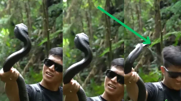 viral video