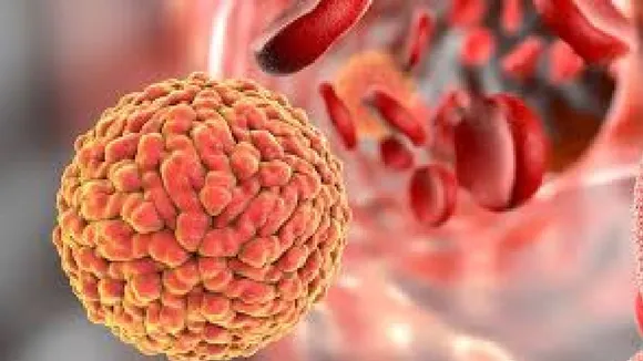 zika virus