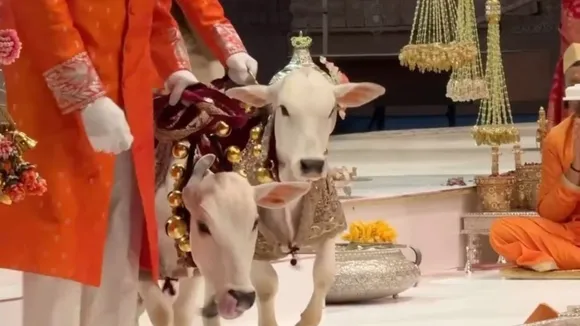 Special Ritual took place at Anant-Radhikas wedding