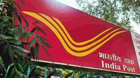 sarkari naukri 2024