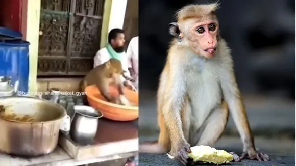 viral video