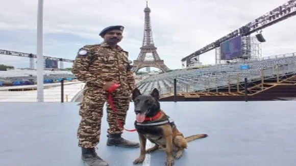 Paris Olympics K9 Dogs