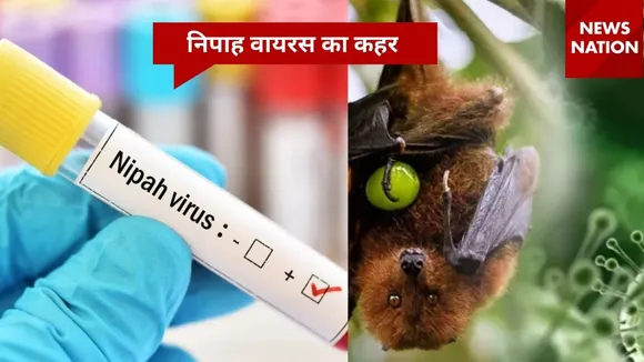 Nipah virus