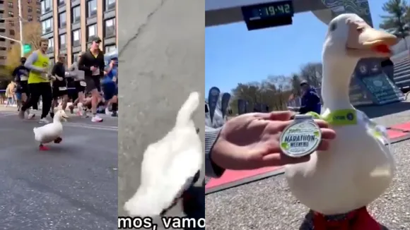 viral video