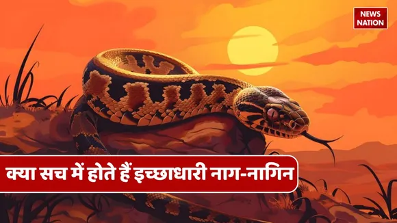 wish fulfilling snake serpent