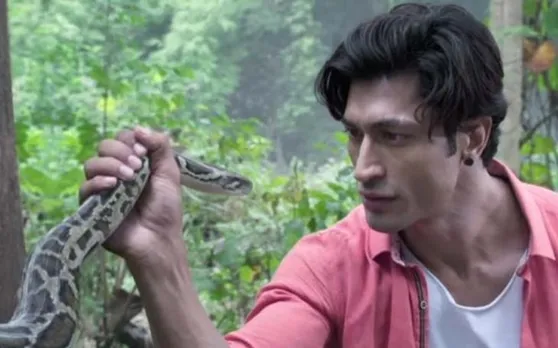 बॉक्स ऑफिस पर 'जंगली' ने दिखाया अपना दम, तीसरे दिन भी कमाई शानदार
