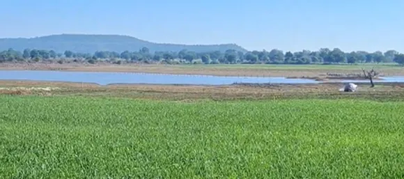 मध्य प्रदेश: दमोह में किसान सम्मान निधि किसानों के लिए बना आर्थिक संबल, पीएम मोदी का जताया आभार