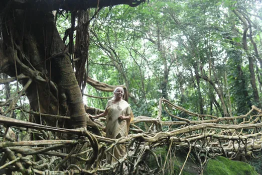 Living root bridges show the way to sustainable future: Nirmala Sitharaman