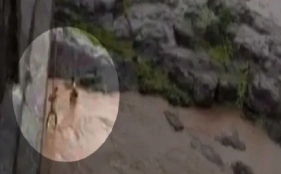 गुजरात: हेरन नदी में फंसे दो युवकों को बचाया गया 