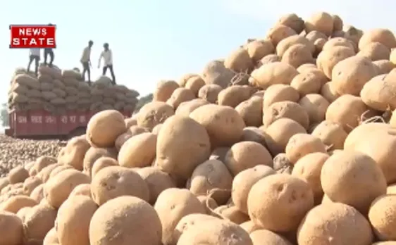 आलू का निकला दम, सड़क पर फेंकने को मजबूर हुए किसान