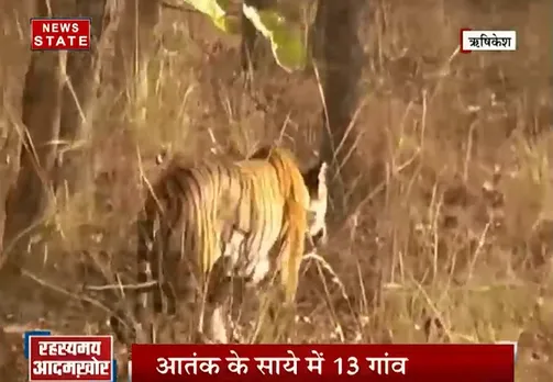 सबसे बड़ा मुद्दा: आदमखोर का आतंक