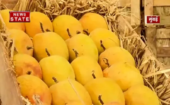 सीजन से पहले पके आम आपकी सेहत के लिए नुकसानदायक