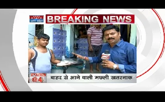 बिहार में खतरनाक मछलियों लग सकती है रोक, देखें रिपोर्ट