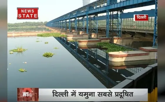 यमुना के जहरीले पानी से वृंदावन में मरीं सैकड़ों मछलियां, देखें यह रिपोर्ट-