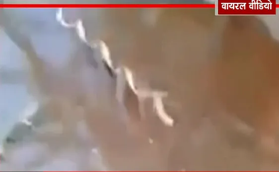 लाई डिटेक्टर टेस्ट : पानी पीते ही लकड़ी के 'सांप' बनने का क्या है सच ? 