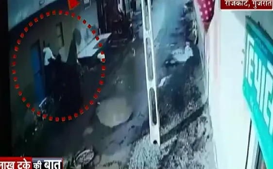 लाख टके की बात : भीषण गर्मी में बुल के डबल अटैक ने किया बेदम, देखिए VIDEO 