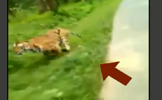 लाई डिटेक्टर टेस्ट : आगे बाइक सवार...पीछे दौड़ी 'मौत' देखिए क्या है इस वीडियो का सच ?