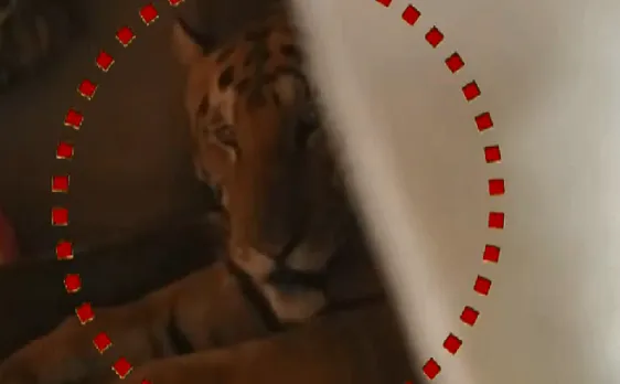 काजीरंगा के नेशनल पार्क में भरा पानी, जानवर हुए परेशान, देखिए VIDEO 