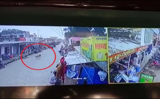 Video: राजस्थान के भरे बाजार में दौड़ लगाते हुए दुकान में घुसा तेंदुआ, फिर आगे जो कुछ हुआ...