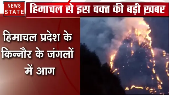 हिमाचल प्रदेश के किन्नौर के चौरा इलाके के जंगलों में लगी भीषण आग