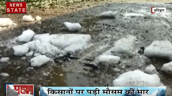हरिद्वार: बारिश और ओलावृष्टि से फसलें चौपट, किसानों ने सरकार से लगाई मुआवजे की मांग