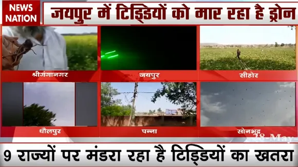 Rajasthan: पाकिस्तान से आए टिड्डियों ने राजस्थान में किसानों को बढ़ाई मुसीबत