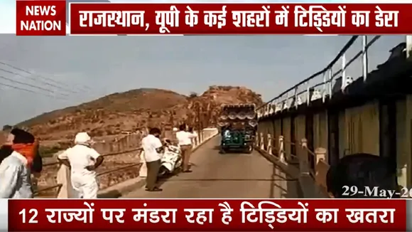 कोरोना के बाद देश में टिड्डियों का आतंक, देखें स्पेशल रिपोर्ट