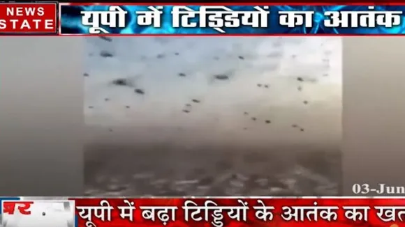 उत्तर प्रदेश में शुरू हुआ टिड्डियों का आतंक, अलर्ट जारी