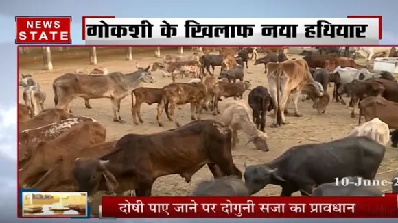 गोकशी को लेकर कानून हुआ और सख्त, आरोपियों की सजा बढ़ी