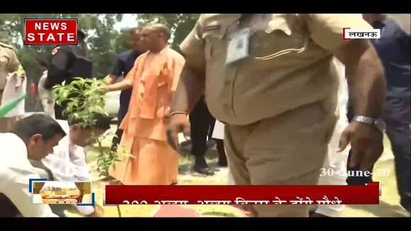 यूपी वन विभाग 5 जुलाई को प्रदेश में लगाएगा 25 करोड़ पौधे