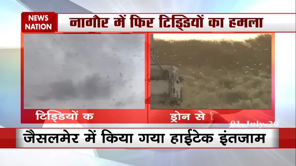राजस्थान के नागौर में फिर से टिड्डियों ने बोला हमला, किया गया ड्रोन से छिड़काव