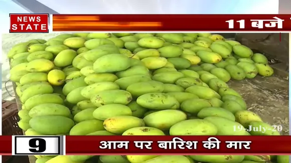 एक के बाद एक मुसीबतों से आम के किसान हुए परेशान