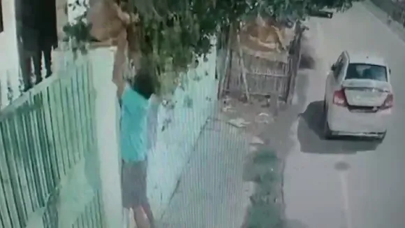 कैमरे में कैद हुआ गमला चोर
