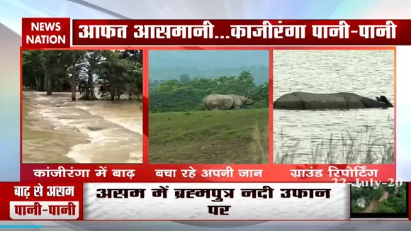 बाढ़ में इंसानों के साथ डूबे जानवरों के भी घर