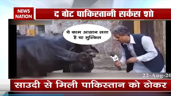 कॉमेडी किंग हैं पाकिस्तान के पत्रकार