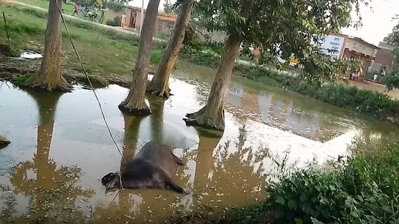 बहराइच में मटेरा पावर कारपोरेशन के कर्मचारियों की लापरवाही से दर्दनाक हादसा