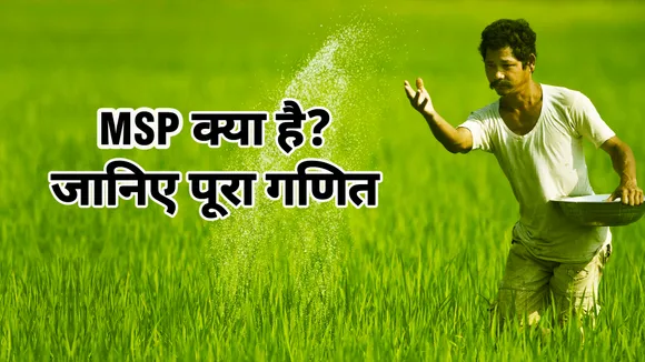 न्यूनतम समर्थन मूल्य क्या है, अभी किन फसलों पर मिल रही है MSP, देखें VIDEO