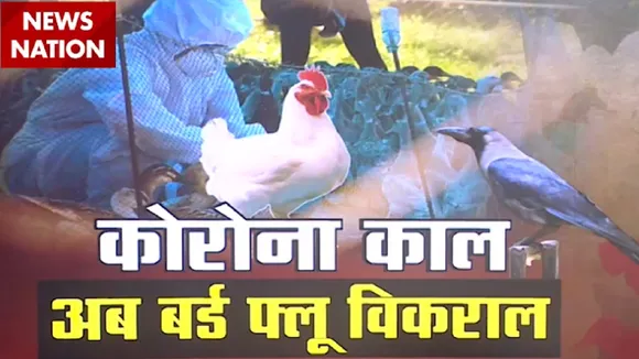 Special: कोरोना के साथ बर्ड फ्लू की दस्तक, दिल्ली में स्वास्थ्य विभाग ने बनाया कंट्रोल रूम